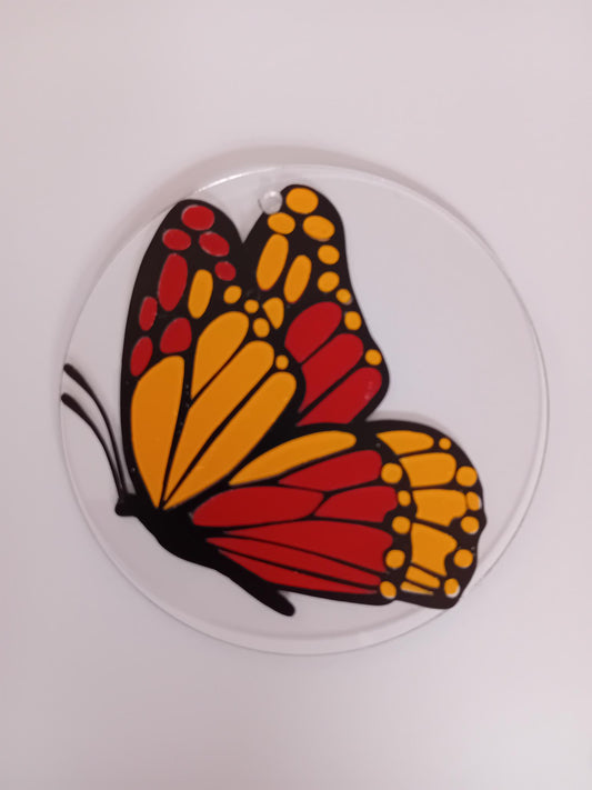 Butterfly on Acrylic