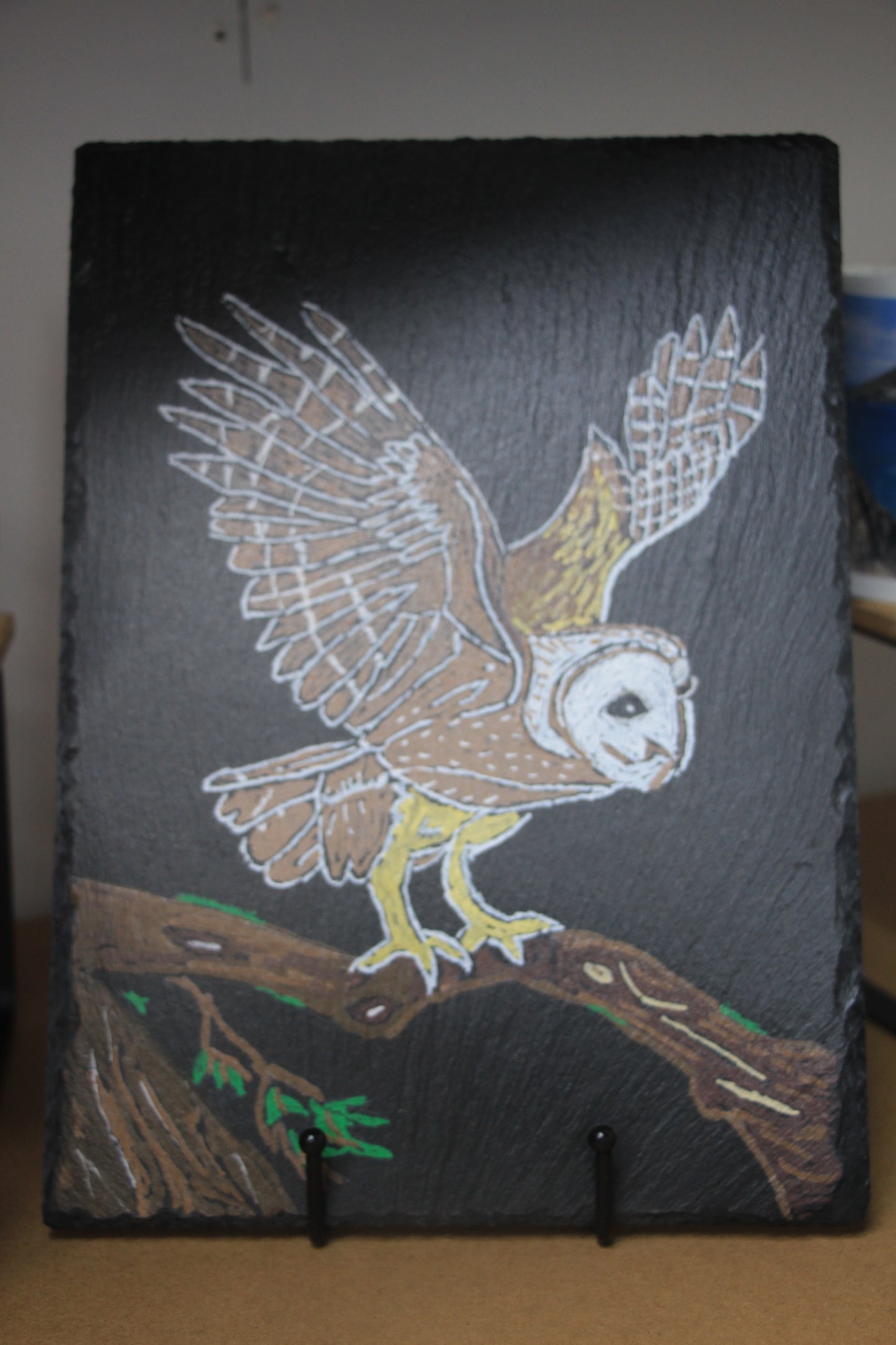 Owl Slate Photo