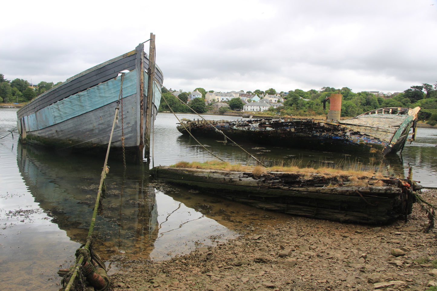 Prints 16 x 12 Inches