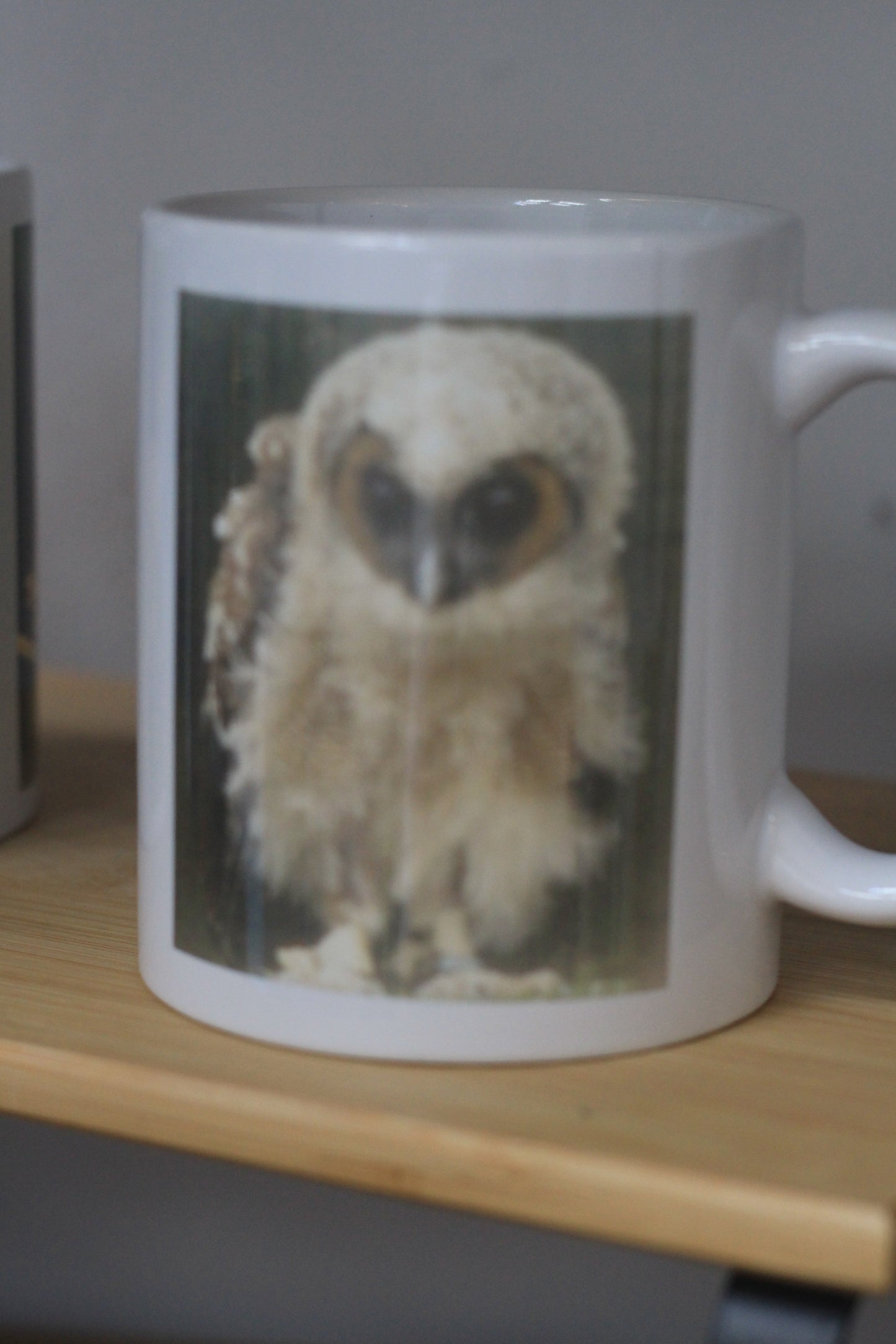 Mugs Nature