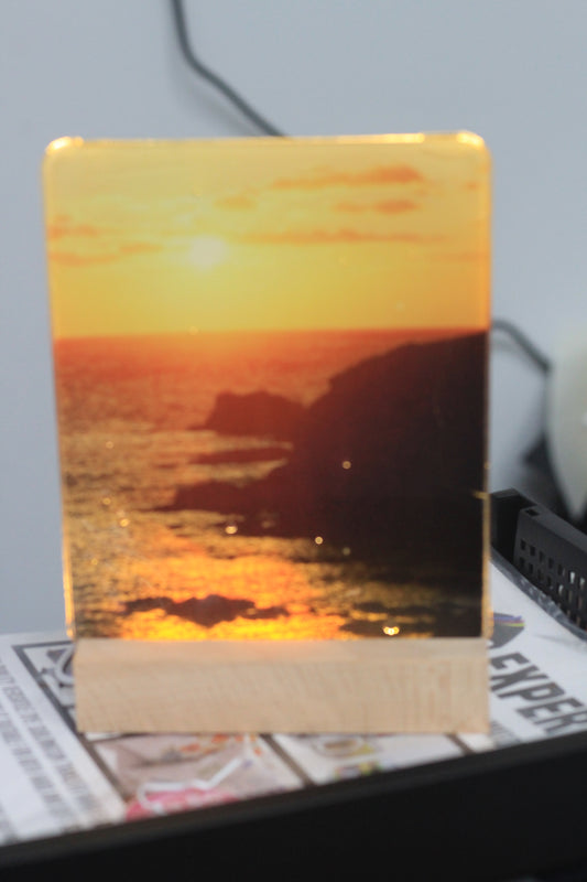 LED Light with scene on acrylic.  Lizard Point