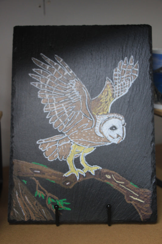 Owl Slate Photo